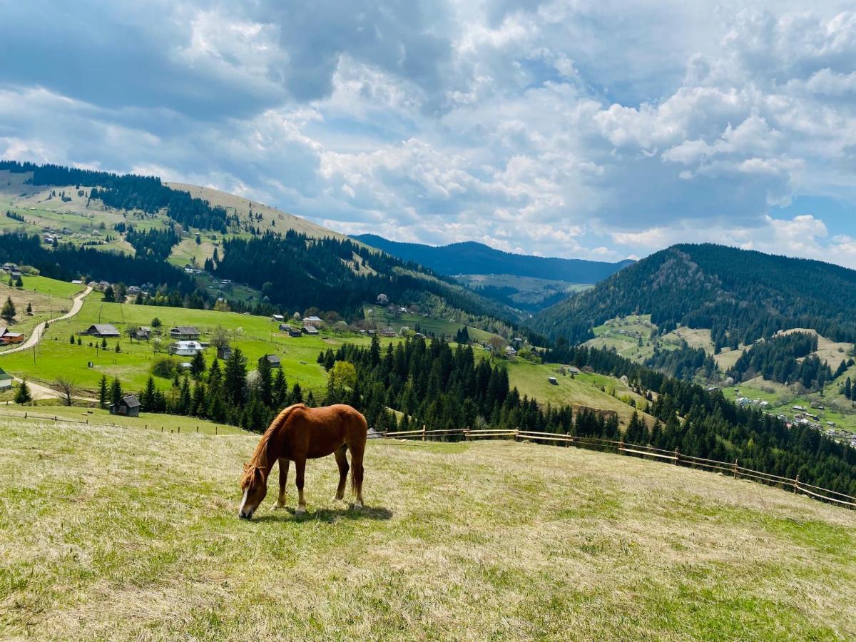 Rodynnyi Zatyshok Pension Verkhovyna Buitenkant foto