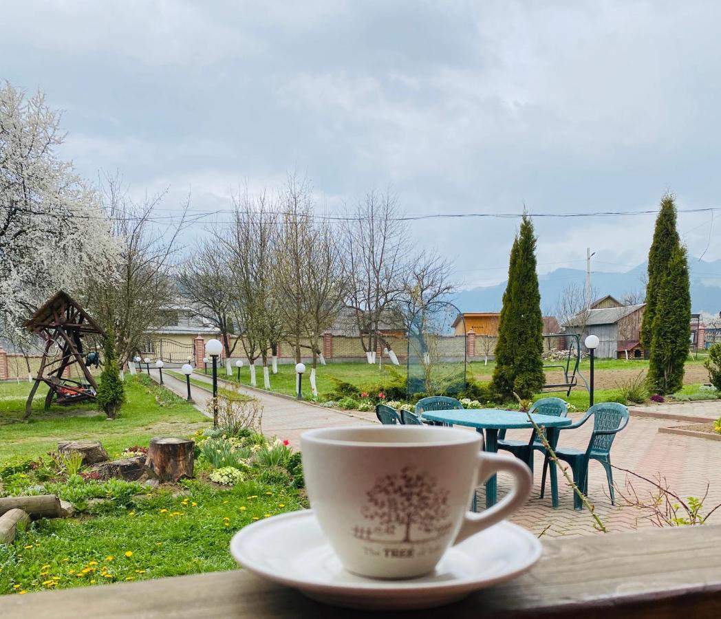 Rodynnyi Zatyshok Pension Verkhovyna Buitenkant foto